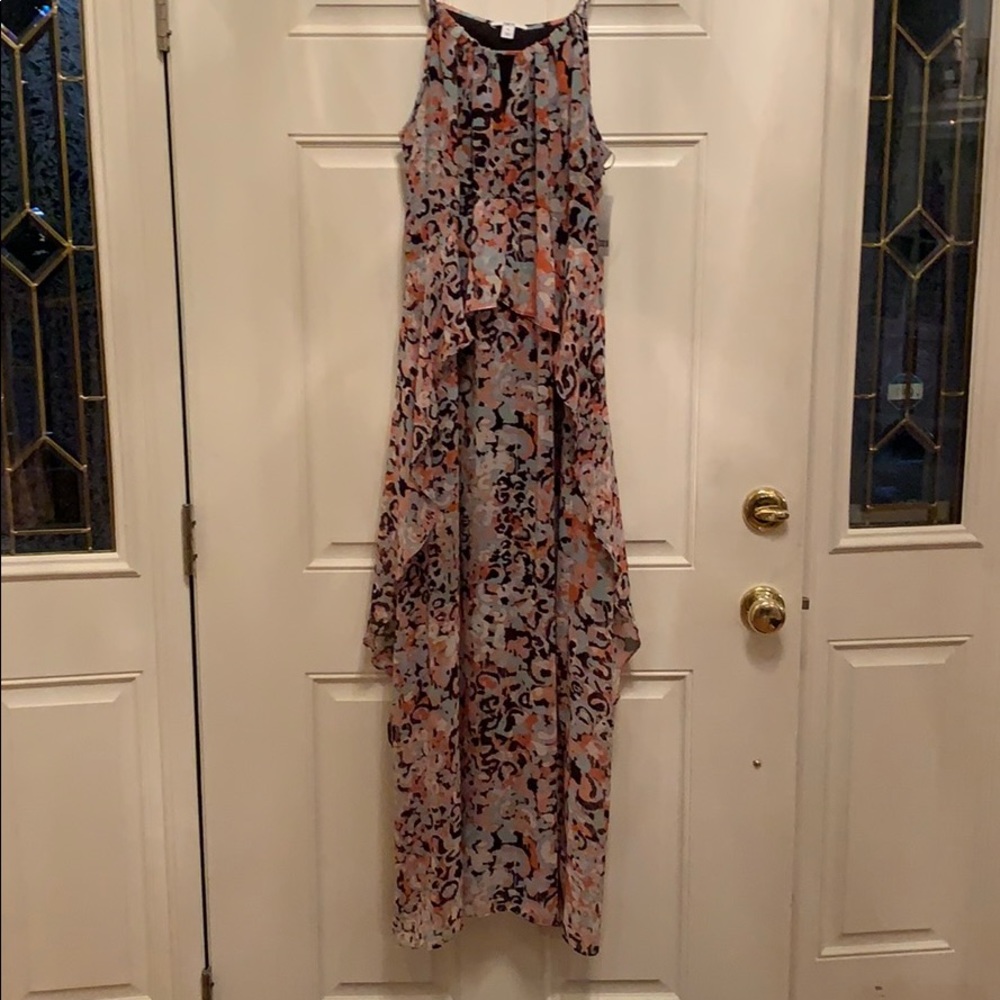 Bar III maxi dress